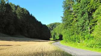 20: Die Herzroute