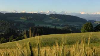 Wiesen vor Wald und Huegeln, Sädelcher, Sumiswald