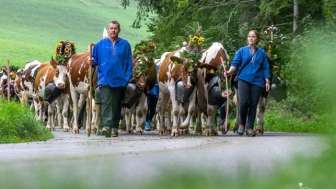 Alpabfahrt Sumiswald Umzug