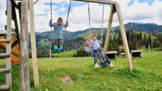 Alpwirtschaft Hinterarni Spielplatz