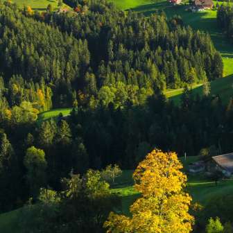 Das Alpenpanorama von der Schonegg, Sumiswald aus.