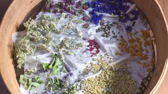 Trockenrahmen mit Blumen