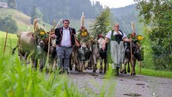 Alpabfahrt Sumiswald Frau und Mann mit Kühen