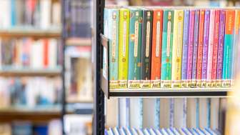 Bibliothek Wasen viele Bücherregale