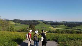 Aussicht in das Gruene
