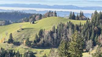 Alpwirtschaft Brestenegg Eriswil Natur 4
